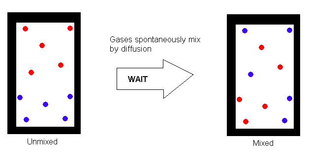 Two pure gases sharing the same container will spontaneously mix over time